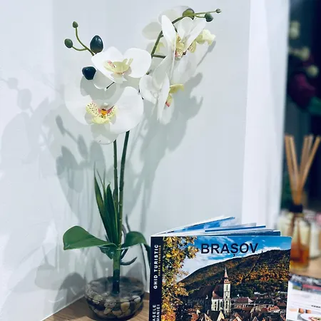 Kronstadt - Gara Apartment